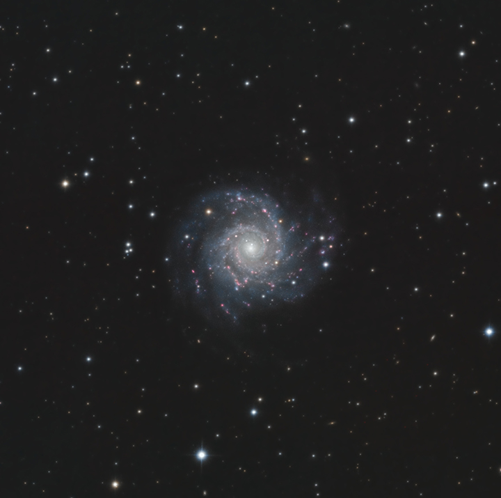 M74